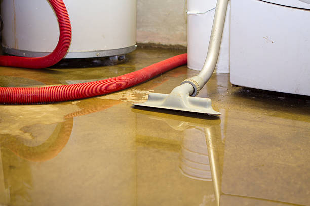 Best Emergency water damage restoration  in Truman, MN