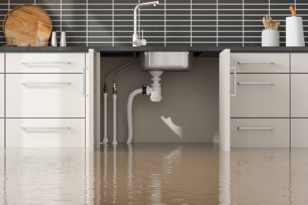  Truman, MN Water damage restoration Pros